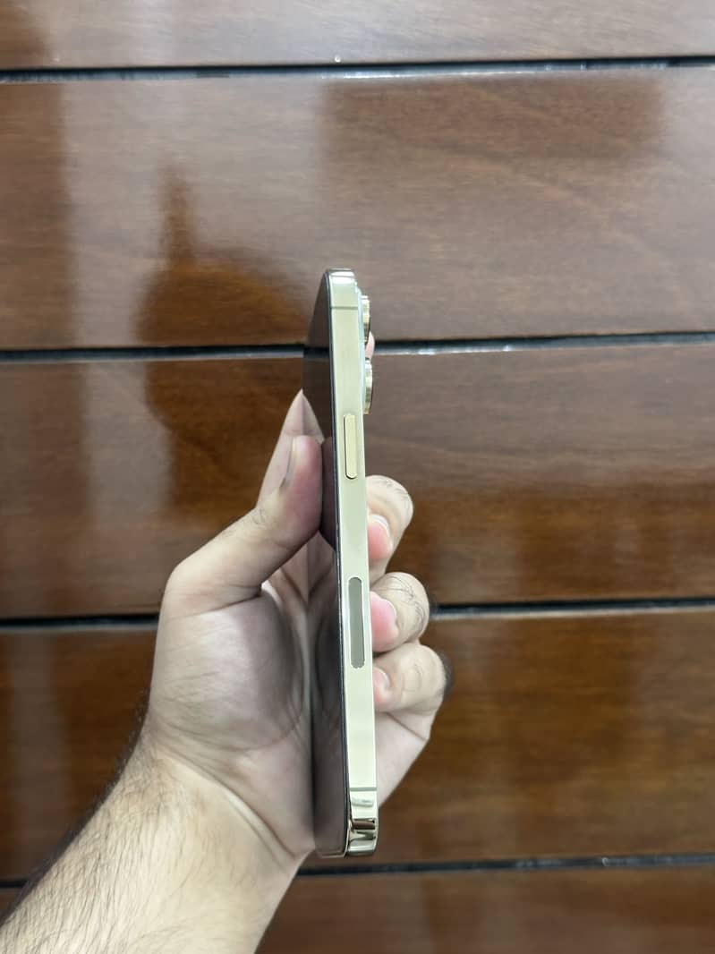 Apple iPhone 14 Pro Max 3