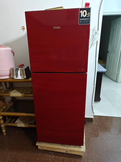 Haier E-Star 246 Series Refrigerator - 9 Cu. Ft In warranty