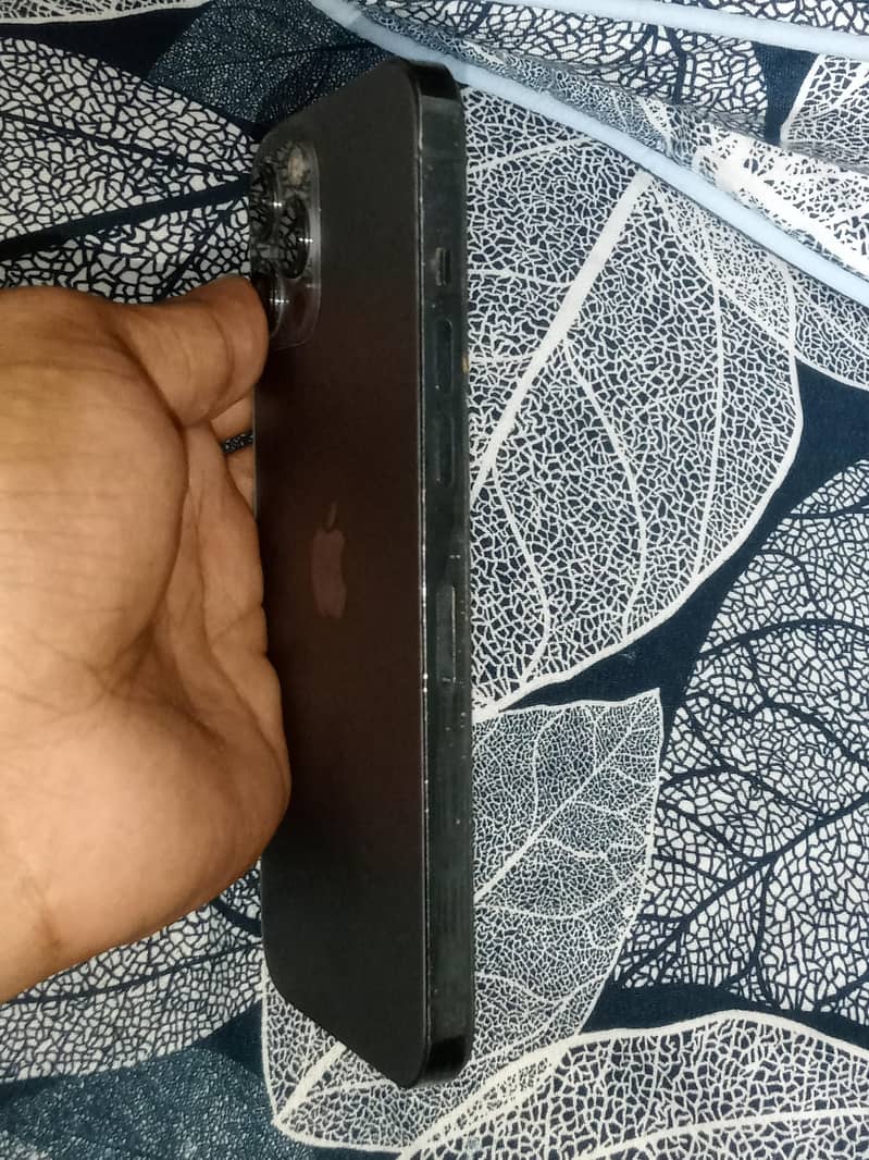 Apple iPhone 12 Pro Max 5