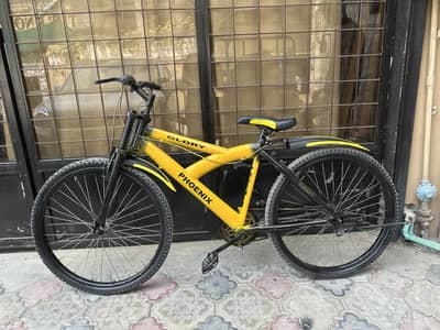 Cycle/ racing cycle / folding cycle / big cycle / bicycle
