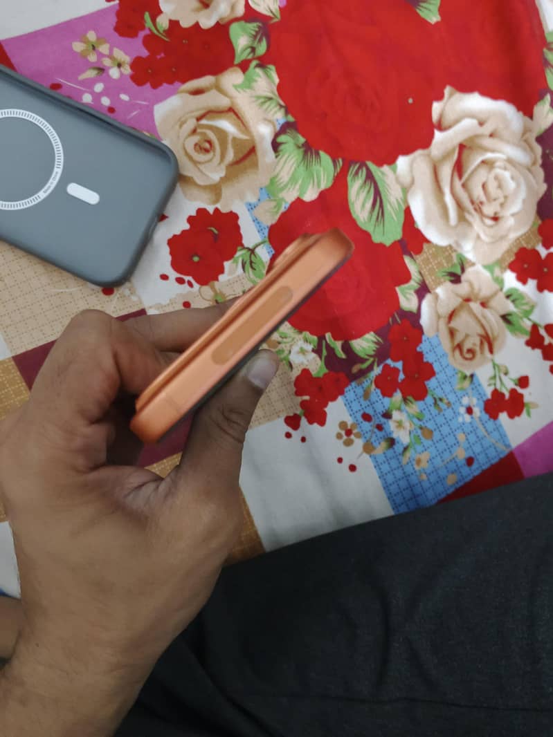 Apple iPhone 17 Pro Max 3