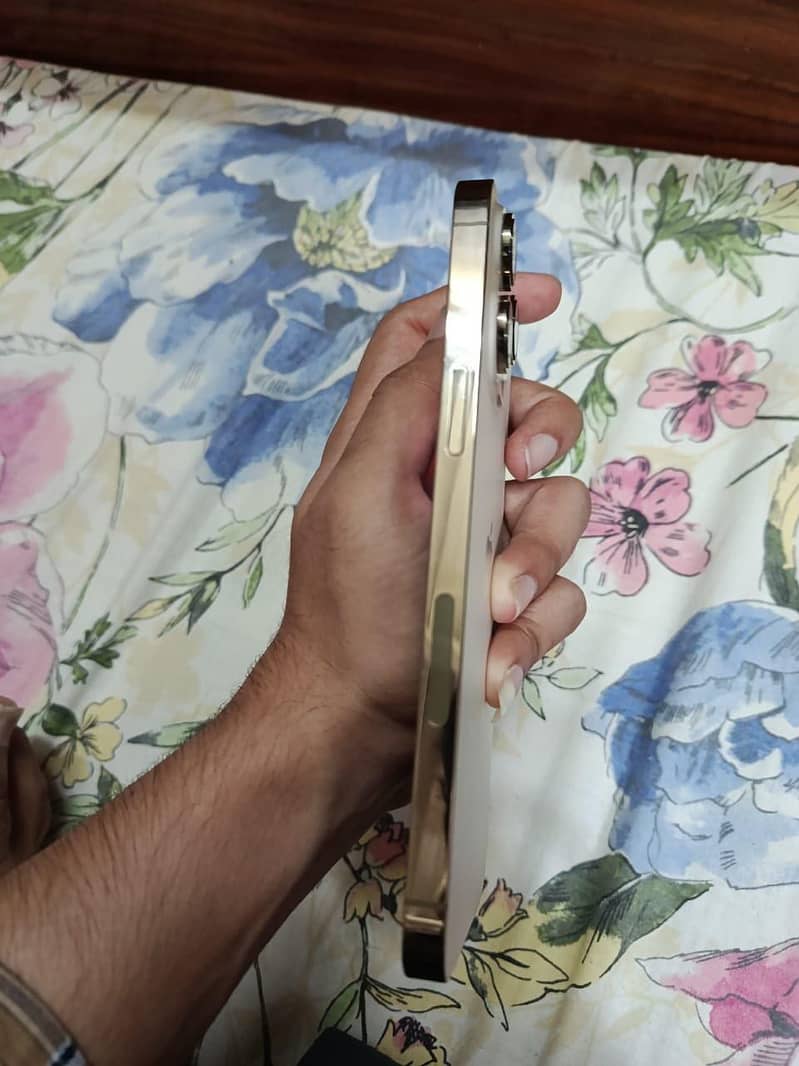 Apple iPhone 14 Pro Max 0