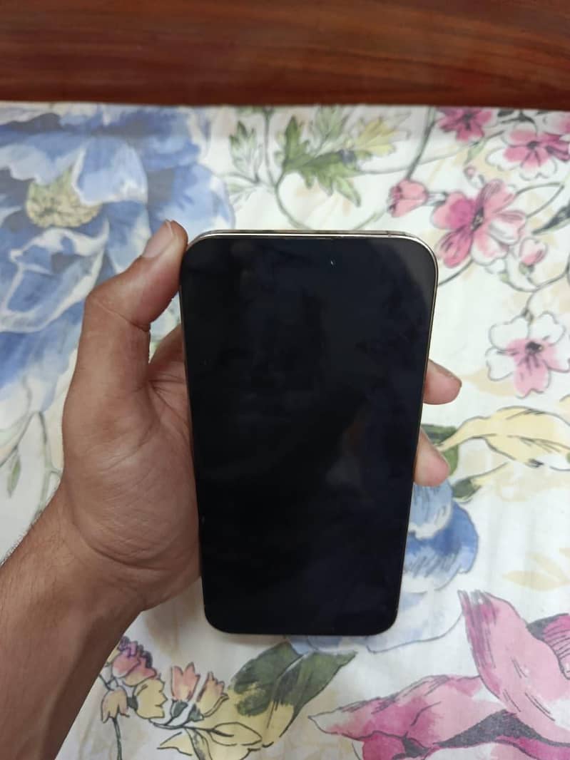 Apple iPhone 14 Pro Max 1