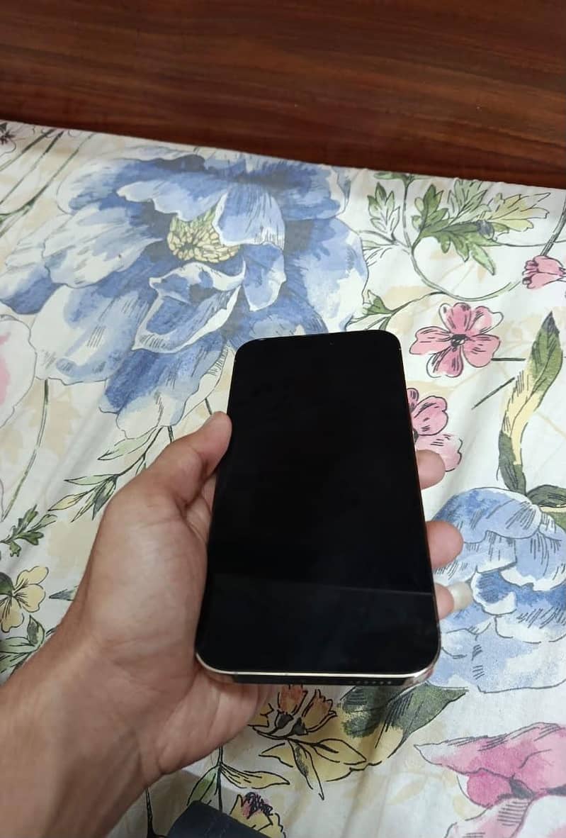 Apple iPhone 14 Pro Max 3