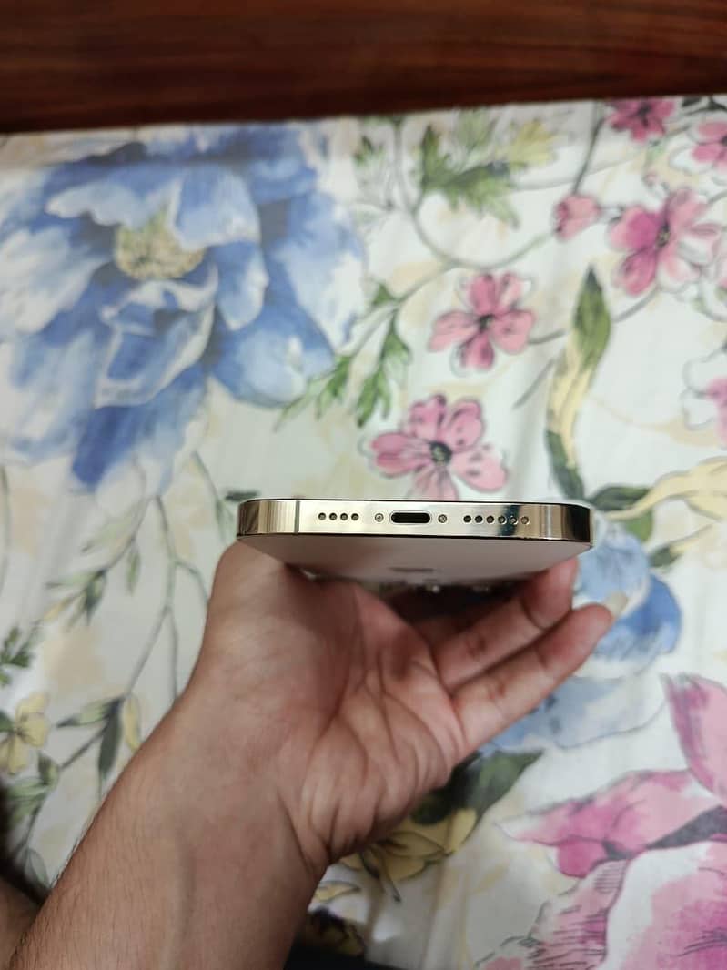 Apple iPhone 14 Pro Max 4