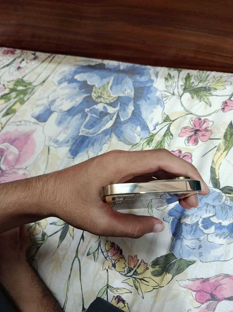 Apple iPhone 14 Pro Max 6