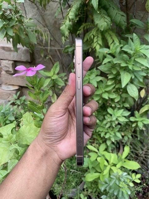 Apple iPhone 16 Pro Max 0