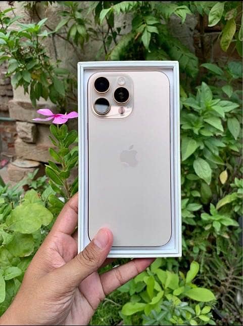 Apple iPhone 16 Pro Max 4