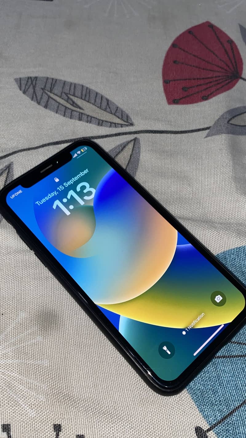 Cleanest iPhone X 2