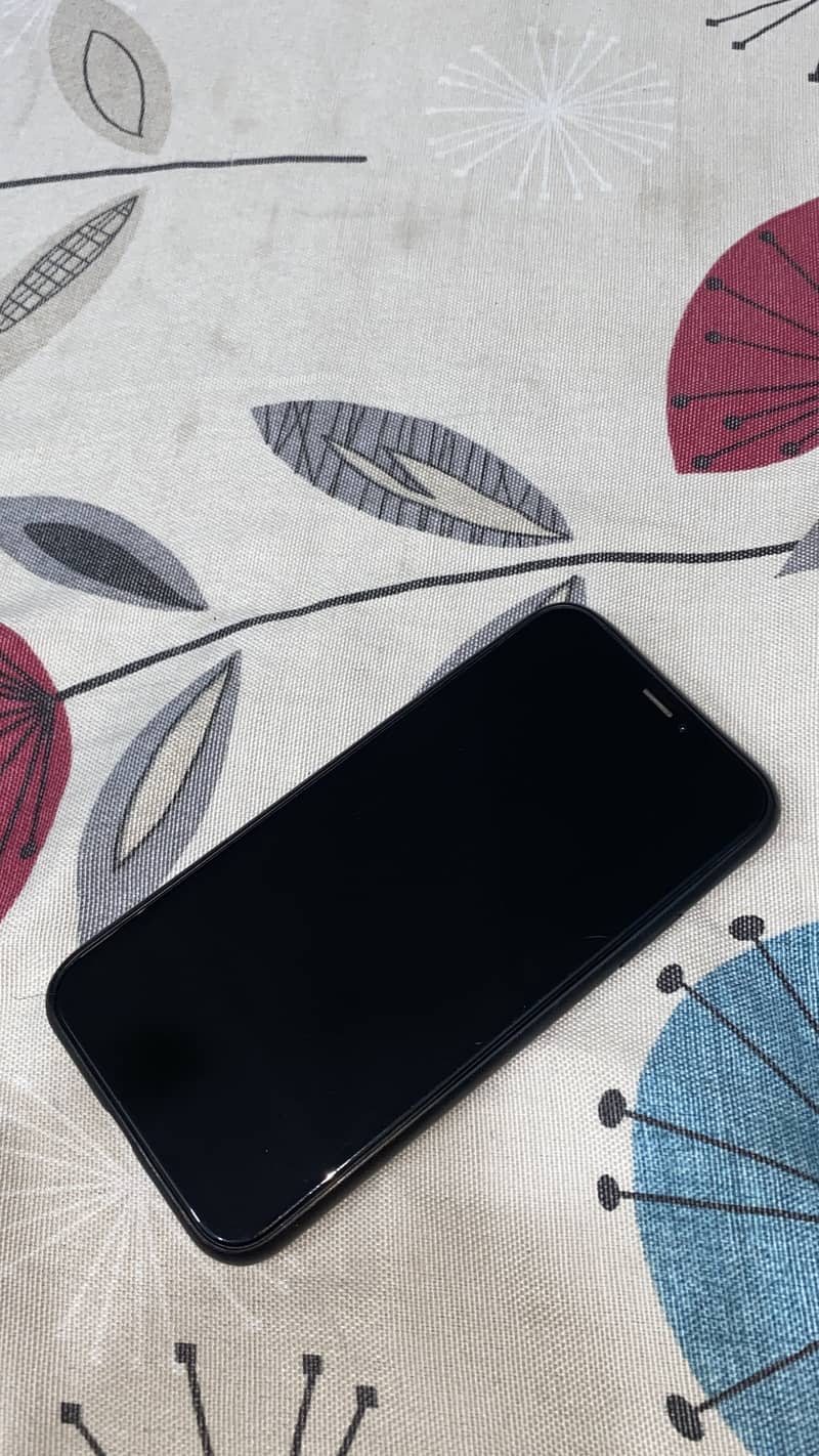 Cleanest iPhone X 3