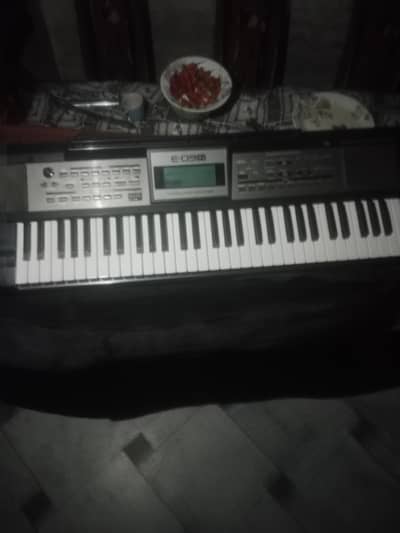 Roland e09