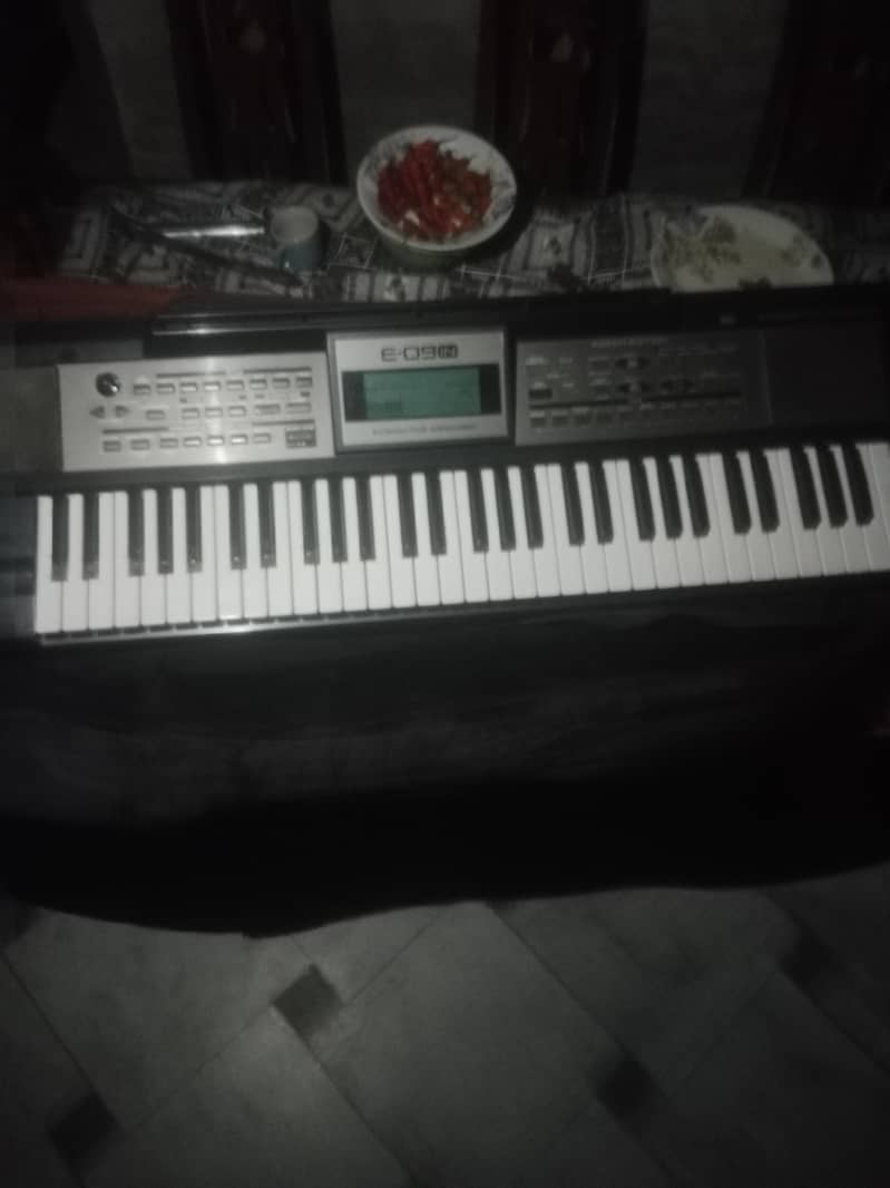 Roland e09 0