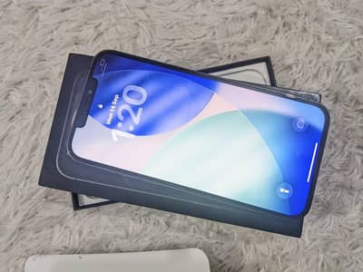 iPhone 12 pro max