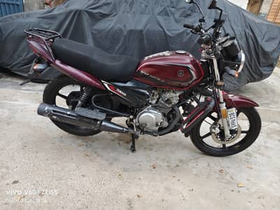 yamaha zdx red 2025-2026