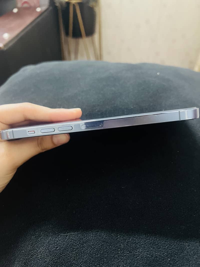 Apple iPhone 13 Pro Max 1