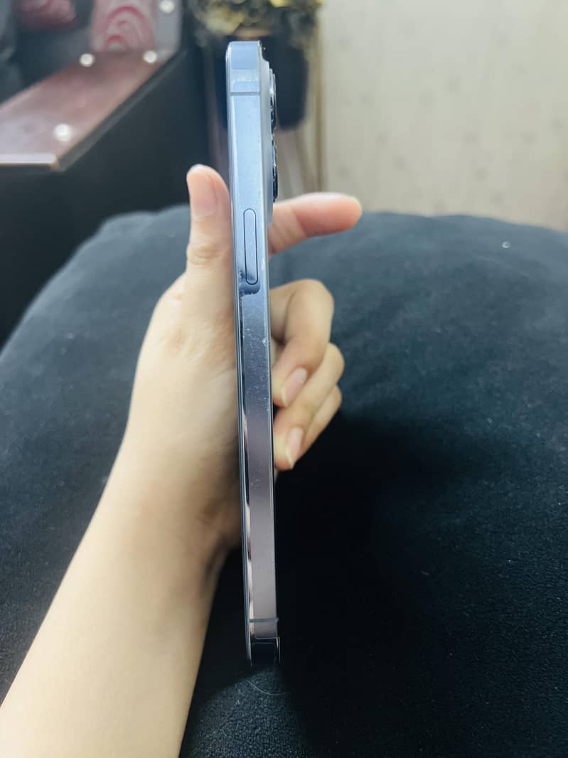 Apple iPhone 13 Pro Max 2