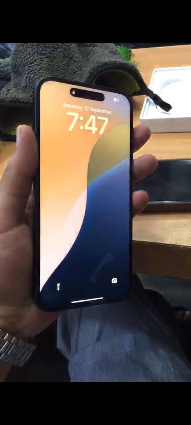 Apple iPhone 16 Plus 1