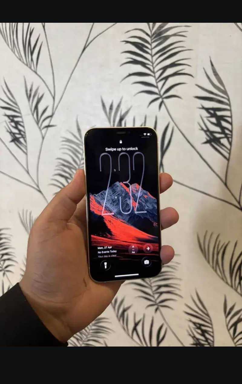 Apple iPhone 12 0