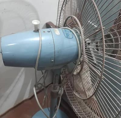 Pakfan Stand Fan
