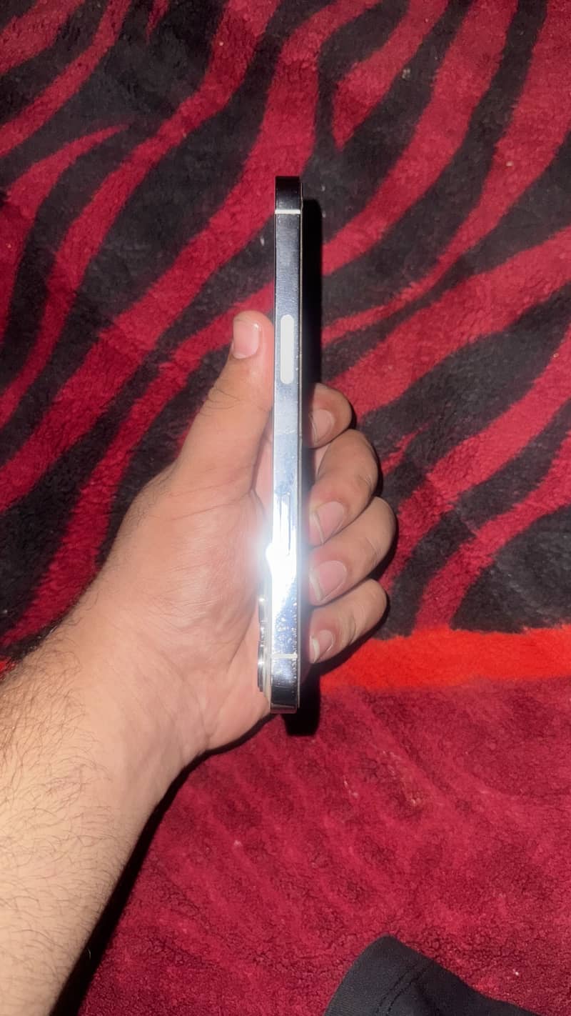 Iphone 13 pro max 1