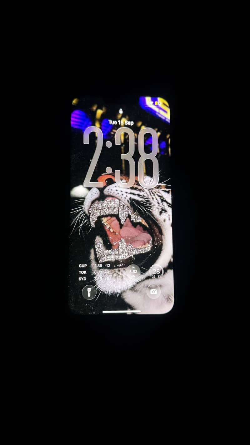 Iphone 13 pro max 4