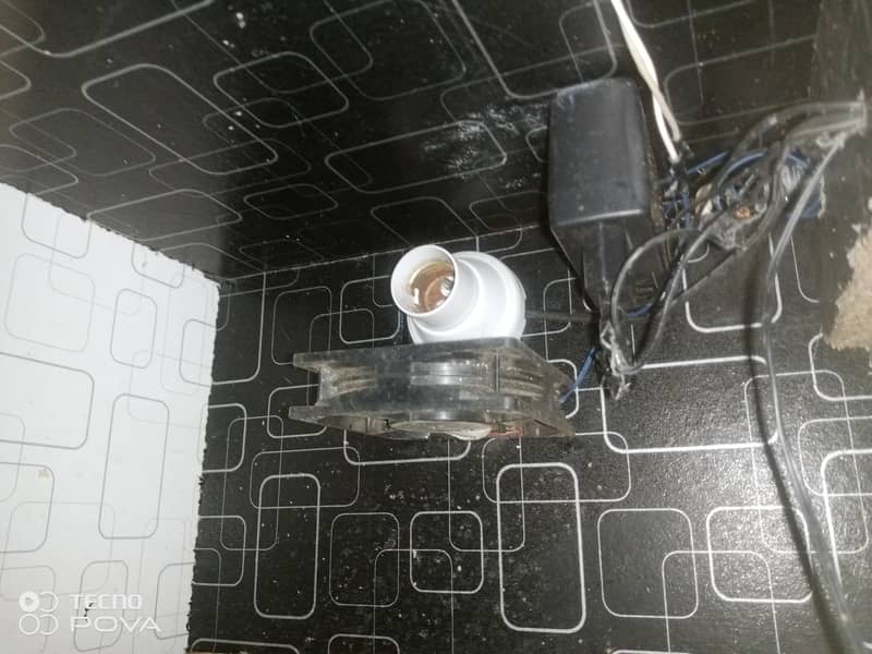 Incubator 3