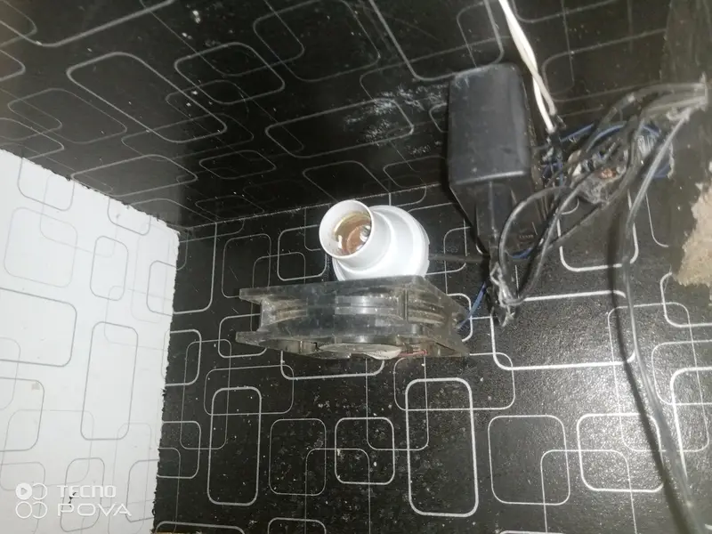 Incubator — photo 4