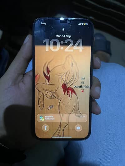 Apple iPhone 12 Pro Max