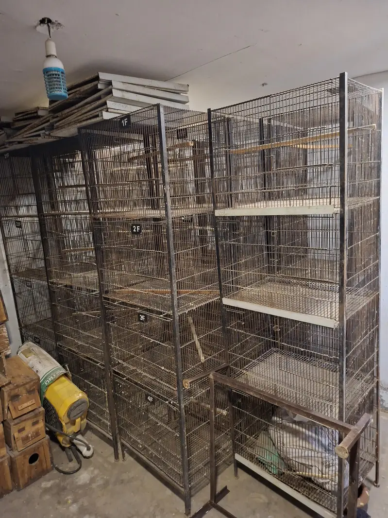 Cages for lovebirds/bujris/finches/pigeons — photo 6
