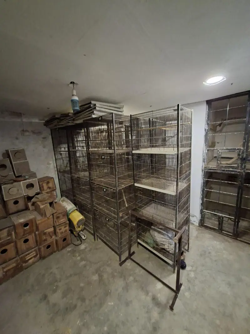 Cages for lovebirds/bujris/finches/pigeons — photo 8