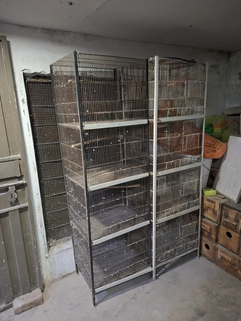 Cages for lovebirds/bujris/finches/pigeons — photo 9