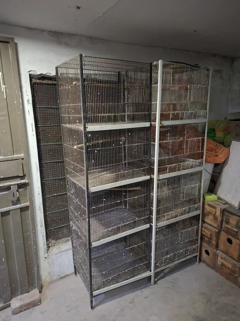 Cages for lovebirds/bujris/finches/pigeons — photo 10