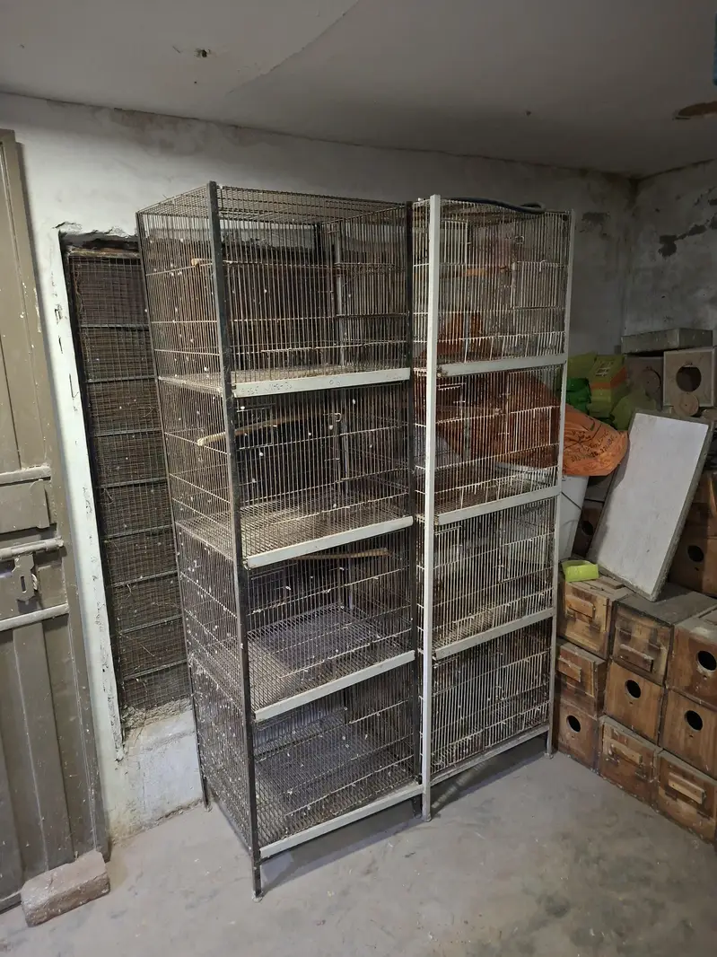 Cages for lovebirds/bujris/finches/pigeons — photo 11