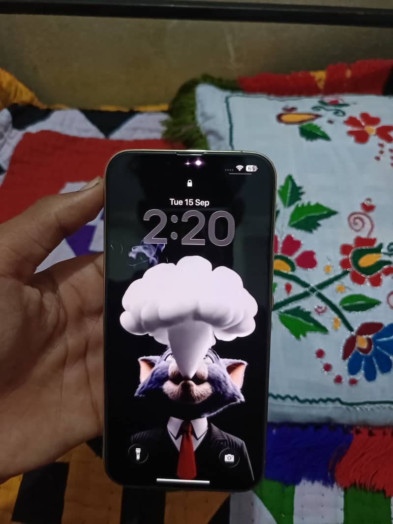Apple iPhone 13 Pro Max 0