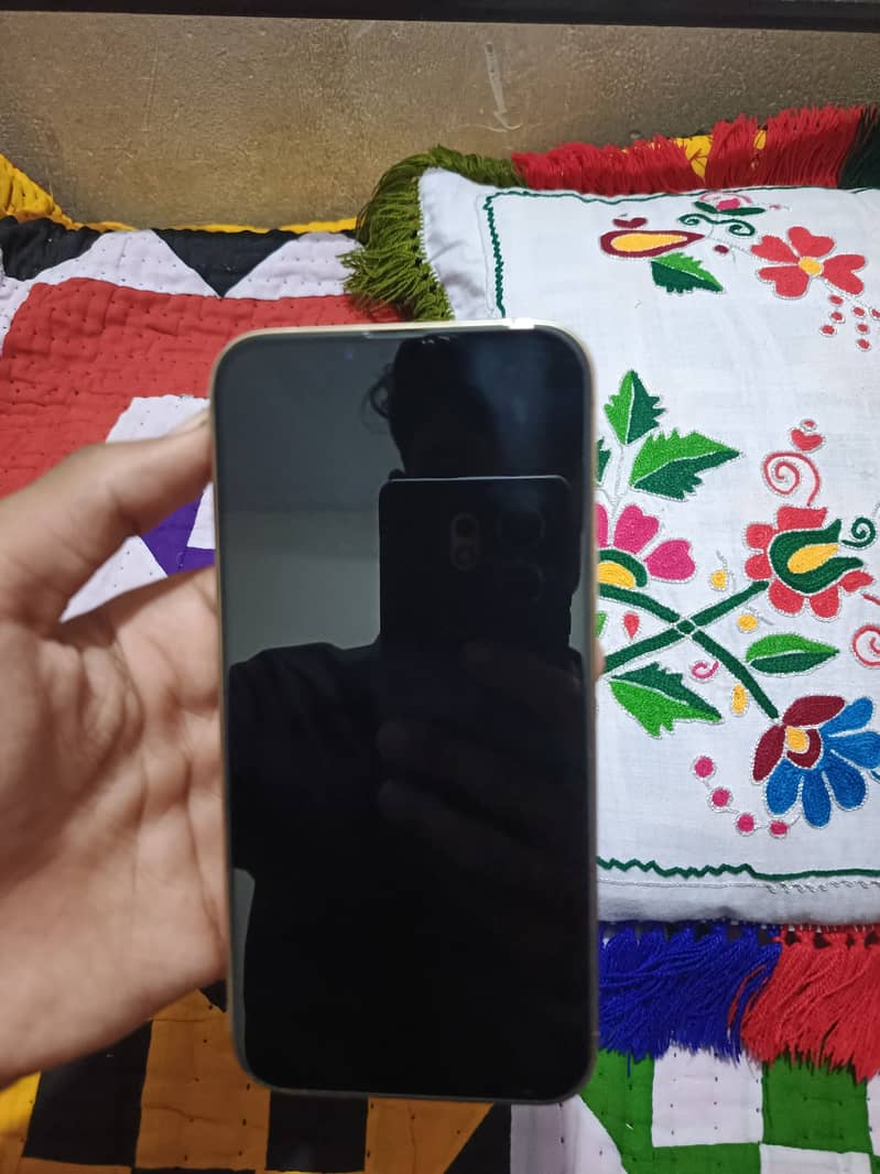 Apple iPhone 13 Pro Max 1