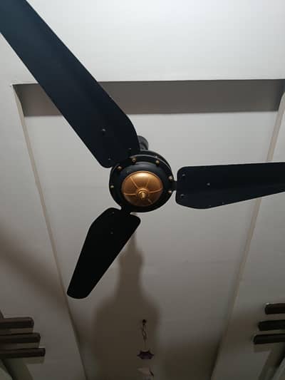 Lahore Fans Urgent for sale