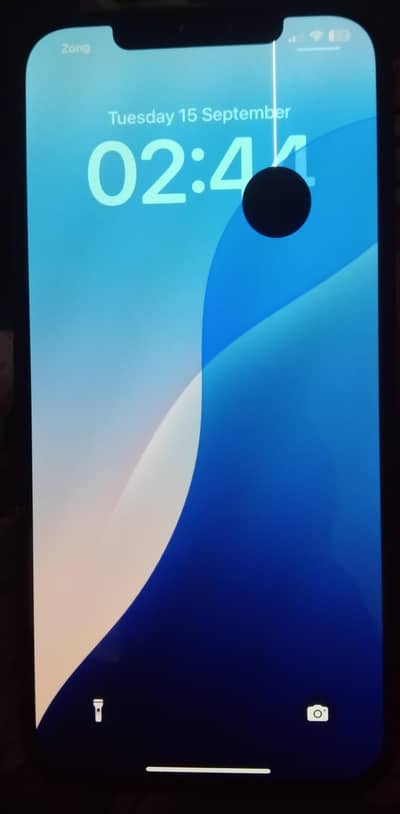 Apple iPhone 12 Pro Max