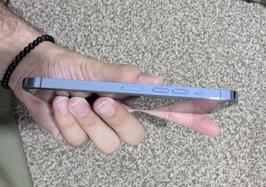 Apple iPhone 13 Pro Max 2