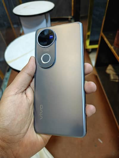 Vivo V50 12/512