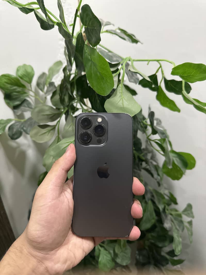 Apple iPhone 13 Pro 0