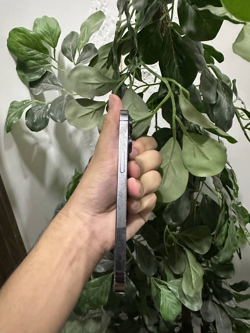 Apple iPhone 13 Pro 2