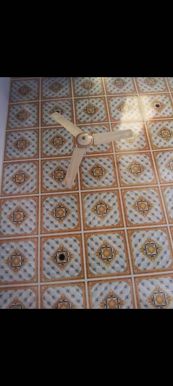 fancy forciling 2x2 0