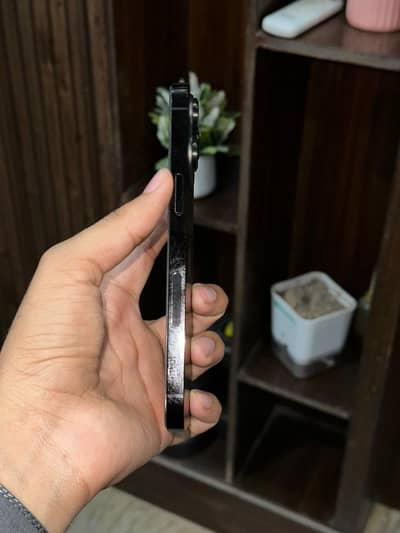 14 pro max mdm