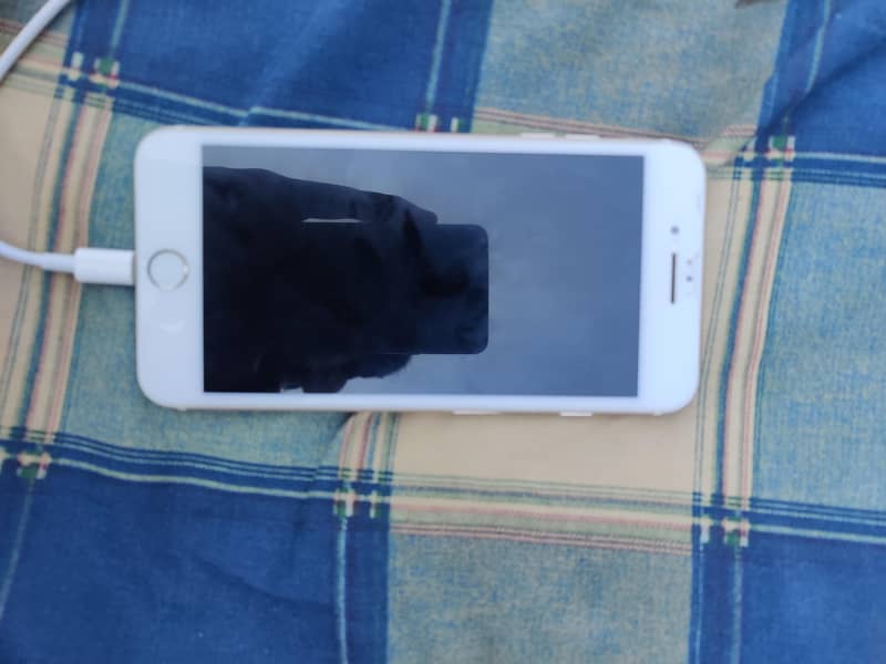 Apple iPhone 7 Plus 4