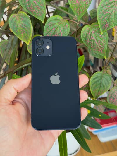 iPhone 12 Factory Unlock