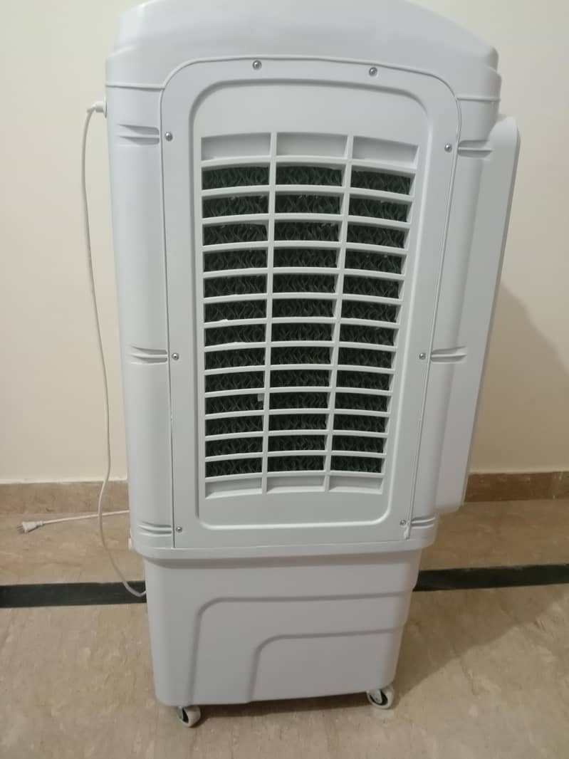 condition 10/10 1