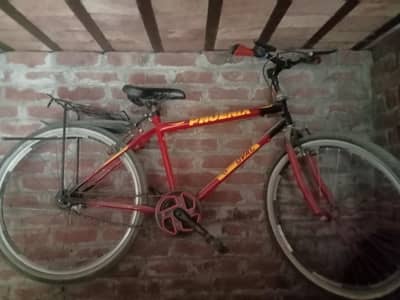 Phenix bicycle