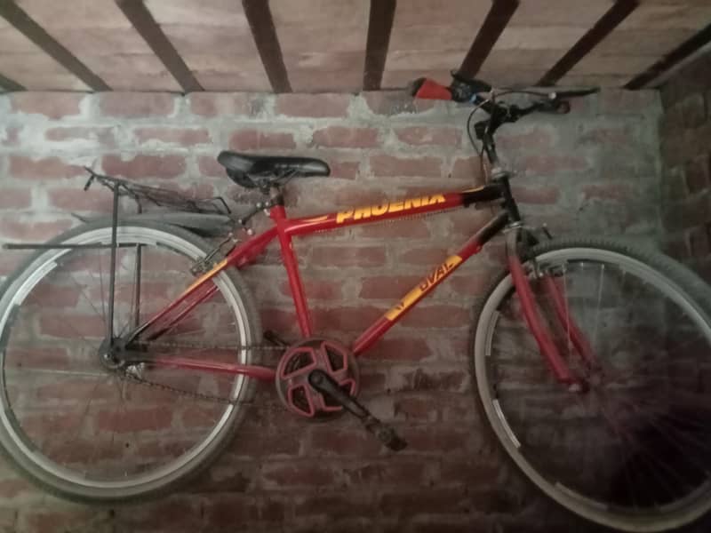 Phenix bicycle 0