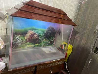 Fish Aquarium 3ft for sale