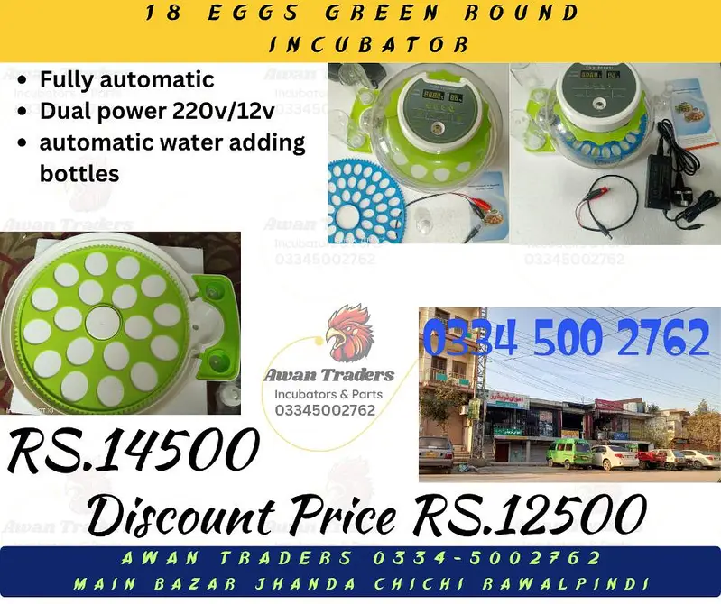 Discounted Prices of Intelligent, Home Intelligent & Weqin Incubators